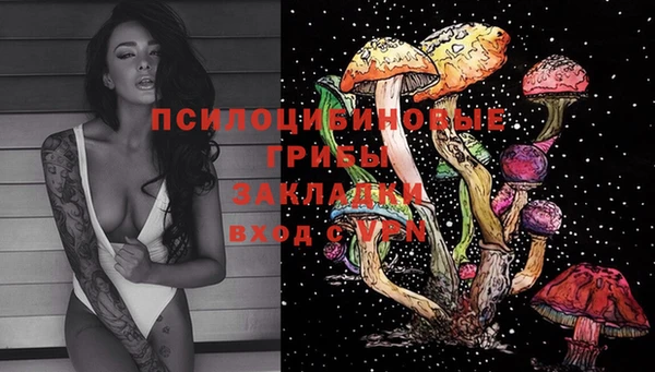 гашик Абинск