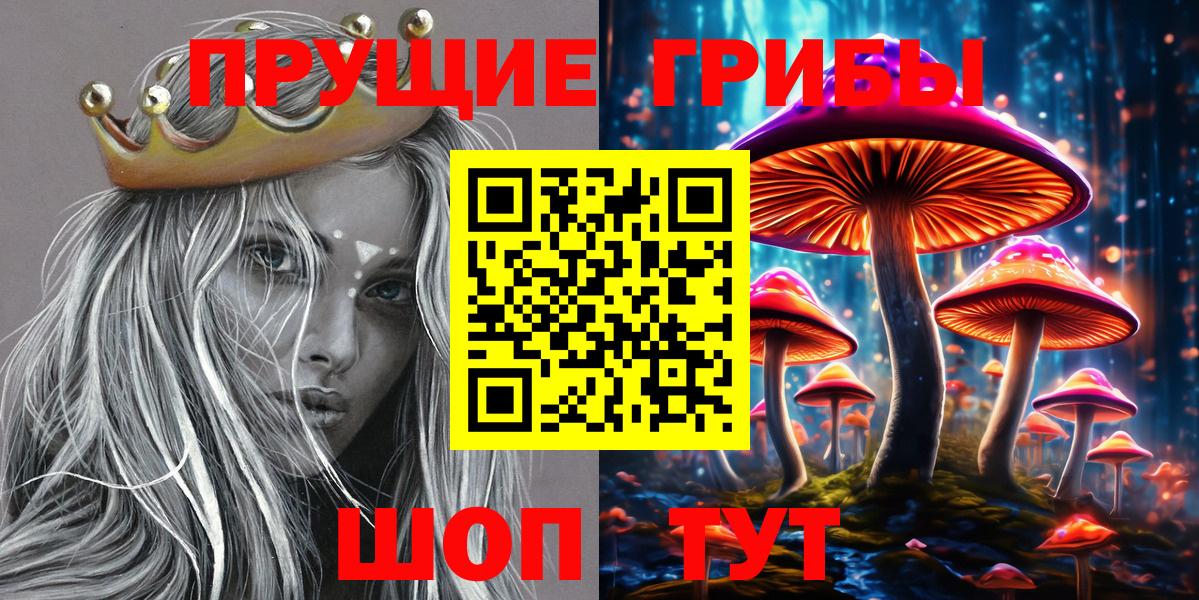 Галлюциногенные грибы прущие грибы  Вход с VPN  закладка  Зеленогорск  Псилоцибиновые грибы GOLDEN TEACHER 