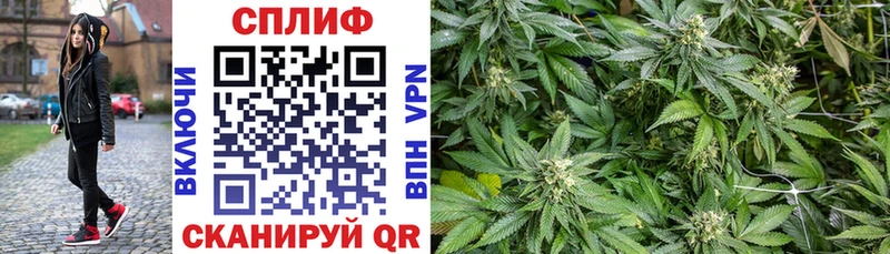 Бошки марихуана THC 21%  Зеленогорск 