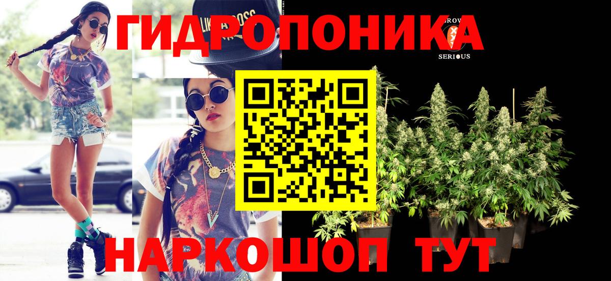 Марихуана MAZAR  МАРИХУАНА LSD WEED  Зеленогорск  Вход с VPN 